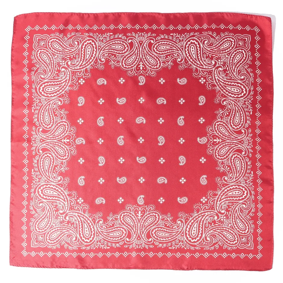 Anonymous Ism Paisley Silk Scarf- Bandana|Accessories